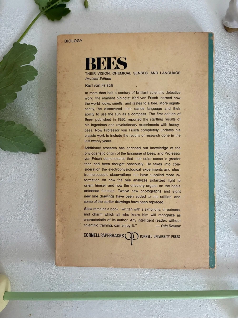 Bees by Karl von Frisch Vintage Paperback - 1971